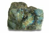 Single Side Polished Labradorite Slab - Madagascar #278224-1